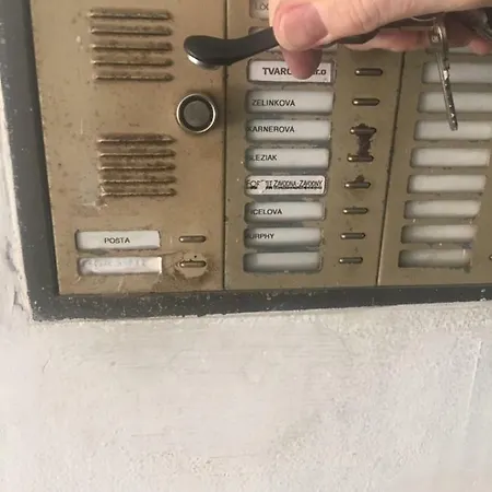 Mira 5